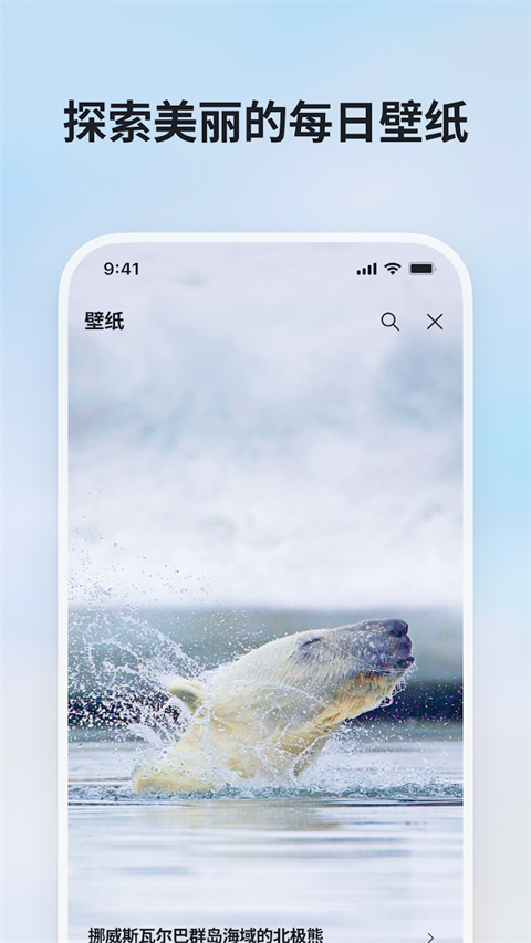 微软必应app最新版