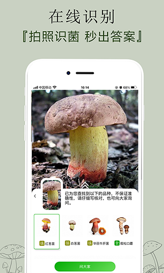 菌窝子app(图2) 菌窝子app(图2)