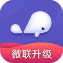 小京鱼app官方版