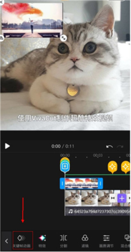 VivaCut破解版免费版图片3