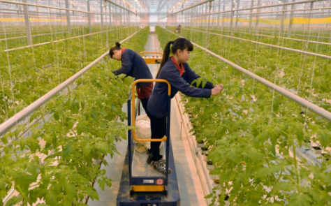云上智农app最新版下载 云上智农app最新版下载