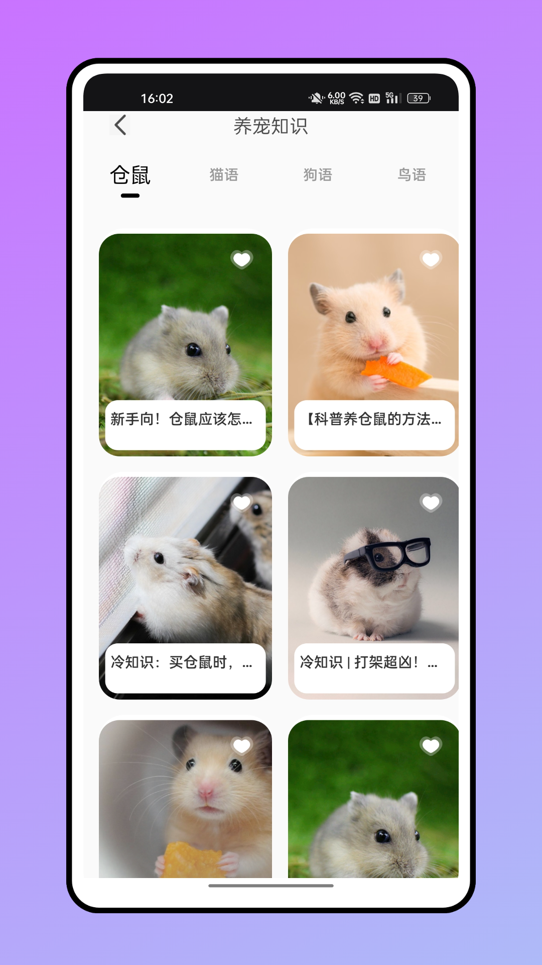 仓鼠翻译器中文版下载