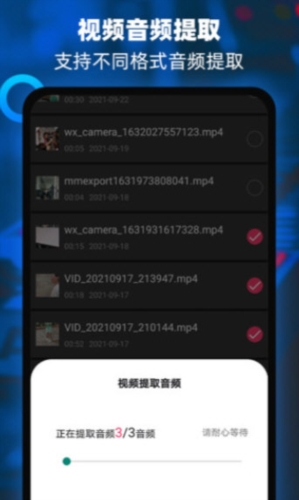 音频提取器编辑器(图4)