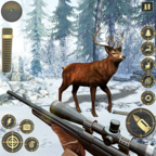 丛林鹿狩猎Jungle Deer Hunting