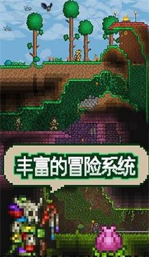 泰拉瑞亚2.95联机版