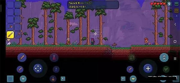 泰拉瑞亚1.4全物品存档版