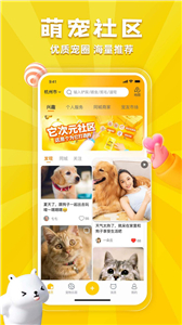 宠胖胖(图1) 宠胖胖(图1)