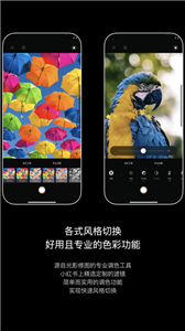 生图相机(图1)