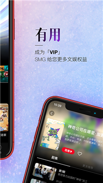 BesTVapp(图1)