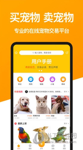 宠物市场(图1) 宠物市场(图1)