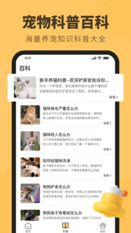 宠物日常(图1) 宠物日常(图1)