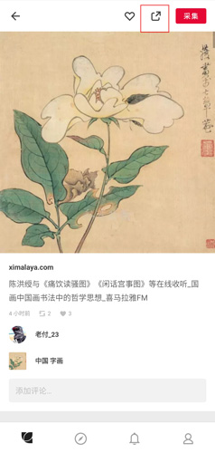 花瓣(图5) 花瓣(图5)