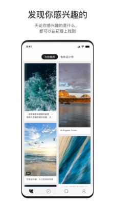 花瓣(图1) 花瓣(图1)