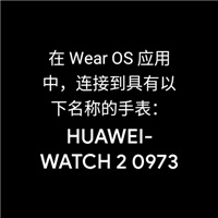 Wear OS by Google 中国版(图10) Wear OS by Google 中国版(图10)