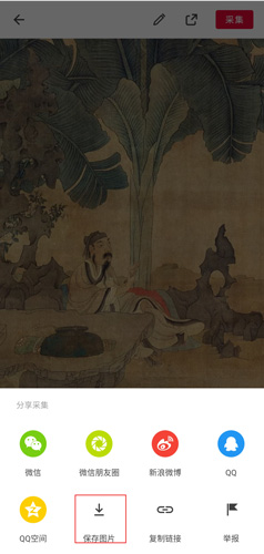 花瓣(图6) 花瓣(图6)