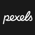 pexels素材中文版官方