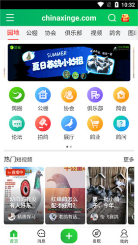 中国信鸽信息网app(图2)