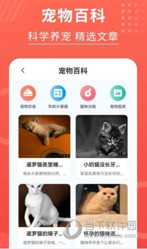 猫猫翻译器(图2) 猫猫翻译器(图2)