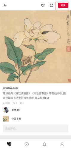 花瓣(图9) 花瓣(图9)