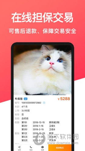宠物市场(图2) 宠物市场(图2)