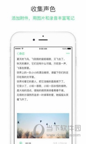 随笔记APP