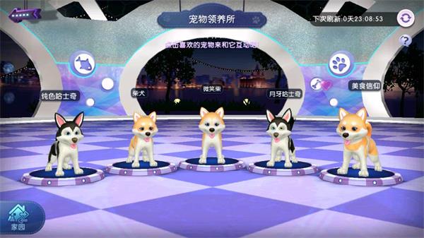 宠物系统最详细攻略配图1