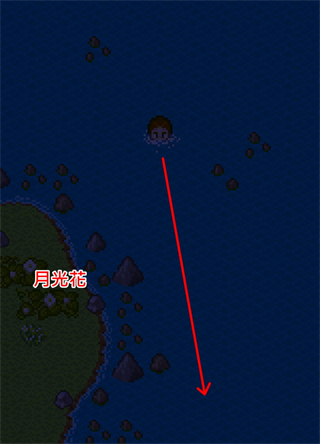 出海攻略配图3