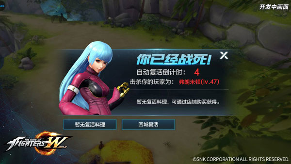 拳皇世界安卓版(图10)