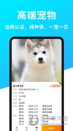 宠物市场(图3) 宠物市场(图3)