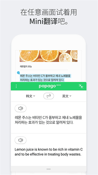 papago安卓版下载2026最新版