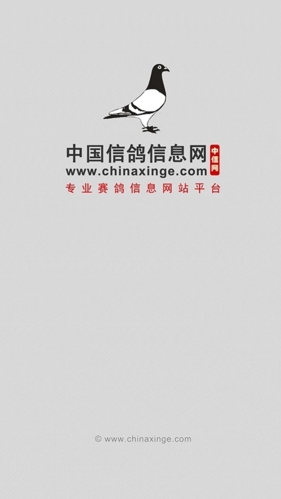 中国信鸽信息网app(图1)