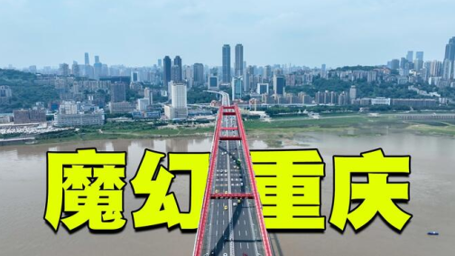 重庆人社app养老认证下载 重庆人社app养老认证下载(图2)