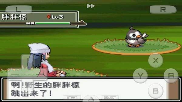 口袋妖怪白金版(图2) 口袋妖怪白金版(图2)