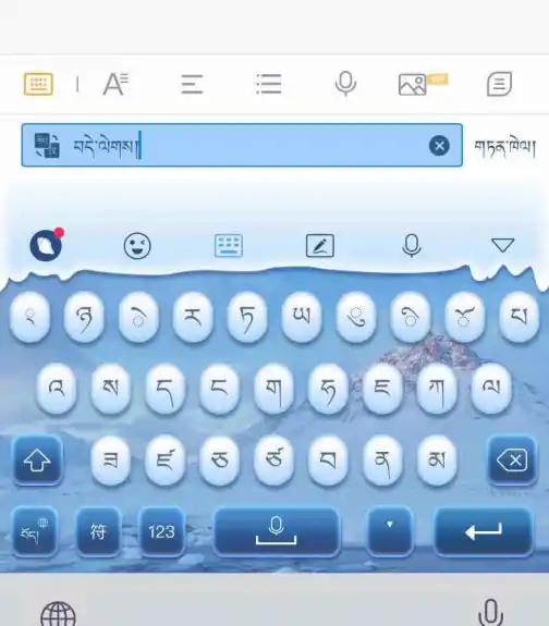 东噶藏文输入法app特色4