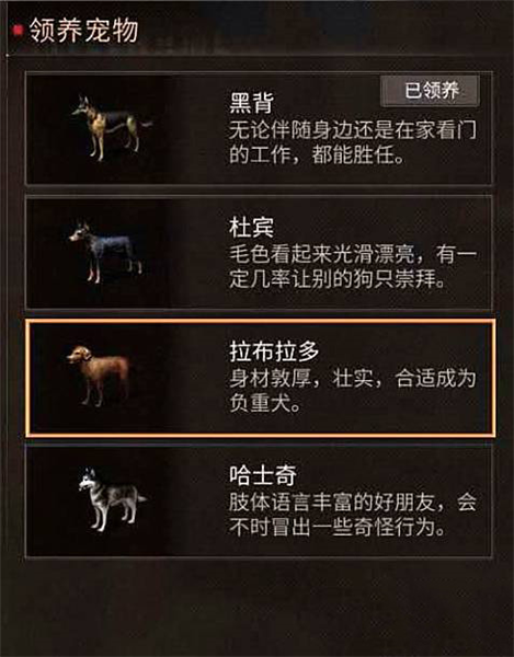 云明日之后(图3) 云明日之后(图3)