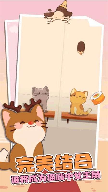 猫咪二重奏(图5)