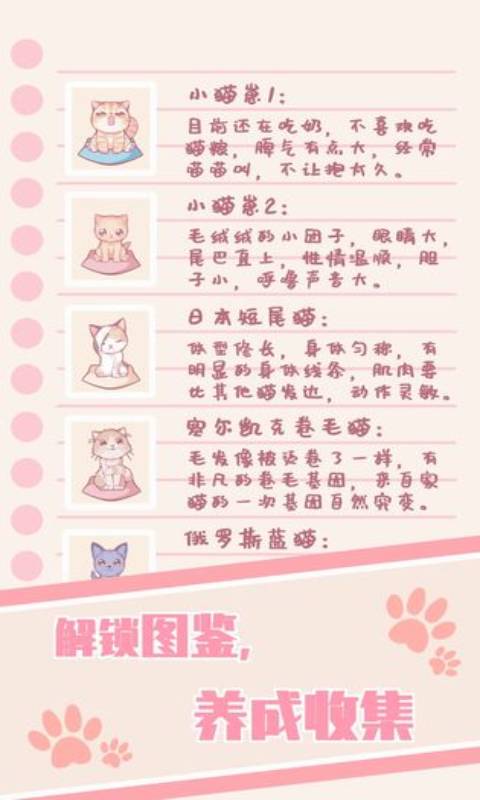 猫咪养成云撸猫