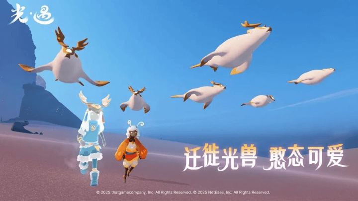 光遇官方正版