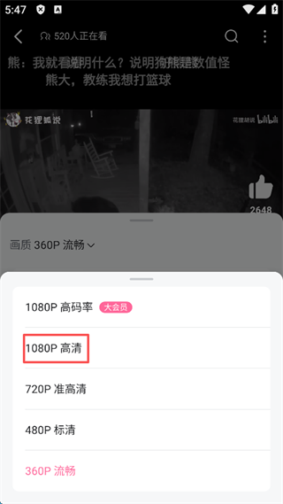哔哩哔哩蓝色概念版(图5)