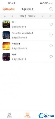 茶杯狐(图3) 茶杯狐(图3)