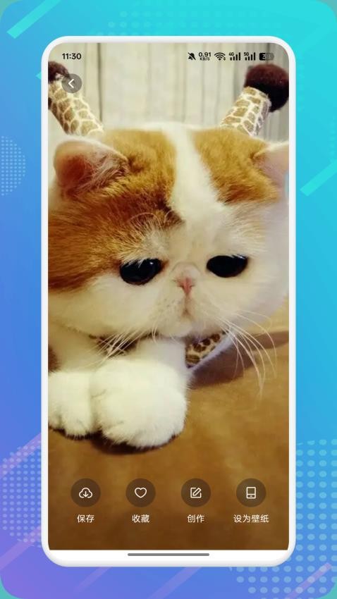 猫咪社区1.4.10版本介绍最新手机版