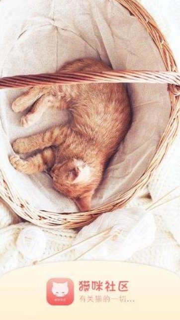 猫咪社区3.1.2正版最新版