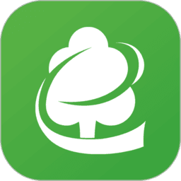 木材码头v5.2.3
