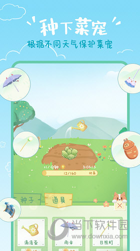 菜宠天气(图2)