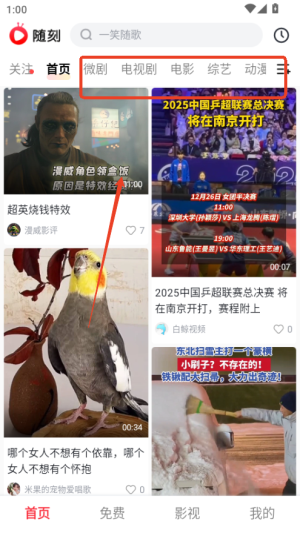 爱奇艺随刻tv盒子版软件(图2) 爱奇艺随刻tv盒子版软件(图2)