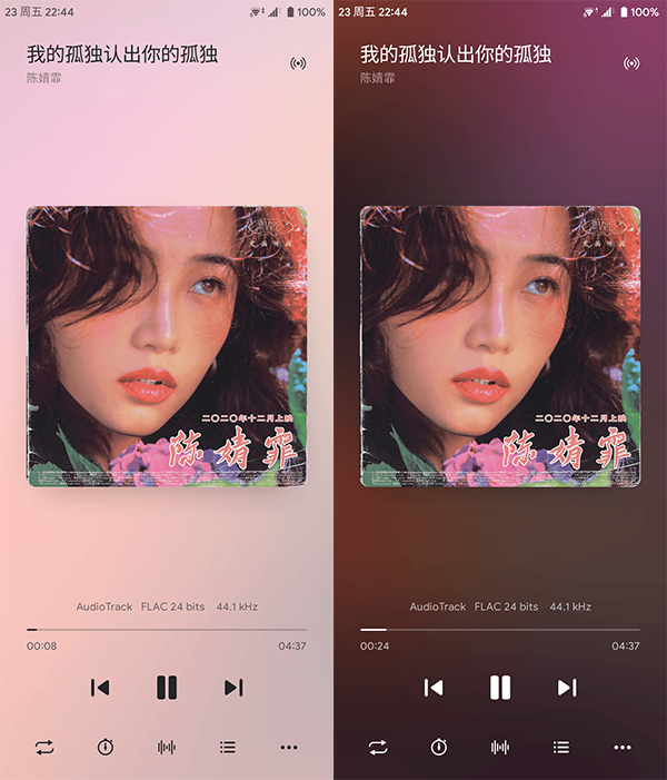 椒盐音乐解锁vip版