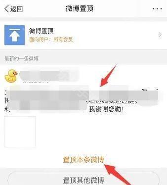 微博(图15)