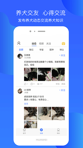 犬卫士(图2) 犬卫士(图2)