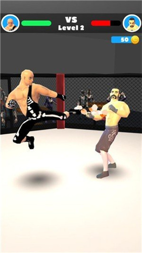 MMA格斗(图3) MMA格斗(图3)