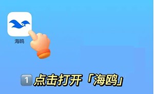 海鸥聊天官方版